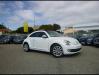 VolkswagenNew Beetle