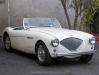 Austin-Healey100