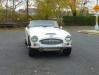 Austin-Healey3000