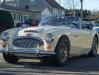 Austin-Healey3000