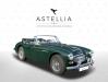 Austin-Healey3000