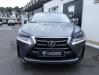 LexusNX