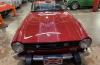 Triumph TR6