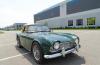 Triumph TR4