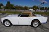 Triumph TR4