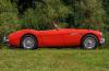 Austin-Healey 100