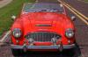 Austin-Healey 100