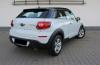 Mini Paceman