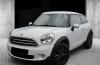 Mini Paceman