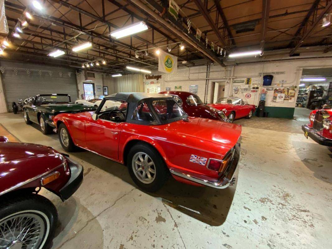 Triumph TR6