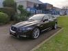 JaguarXF