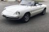 Alfa Romeo Spider