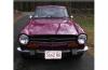 Triumph TR6