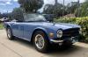 Triumph TR6