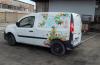 Renault Kangoo Express