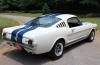 Shelby GT 350