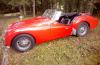 Triumph TR3