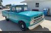 Ford USA F-100