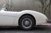 Austin-Healey 100