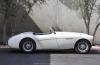 Austin-Healey 100