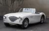 Austin-Healey 100