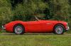 Austin-Healey 100