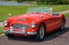 Austin-Healey 100