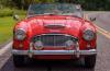 Austin-Healey 100