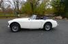 Austin-Healey 3000