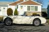 Austin-Healey 3000