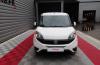 Fiat Doblo Cargo