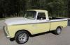 Ford USA F-100