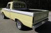 Ford USA F-100