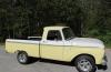 Ford USA F-100